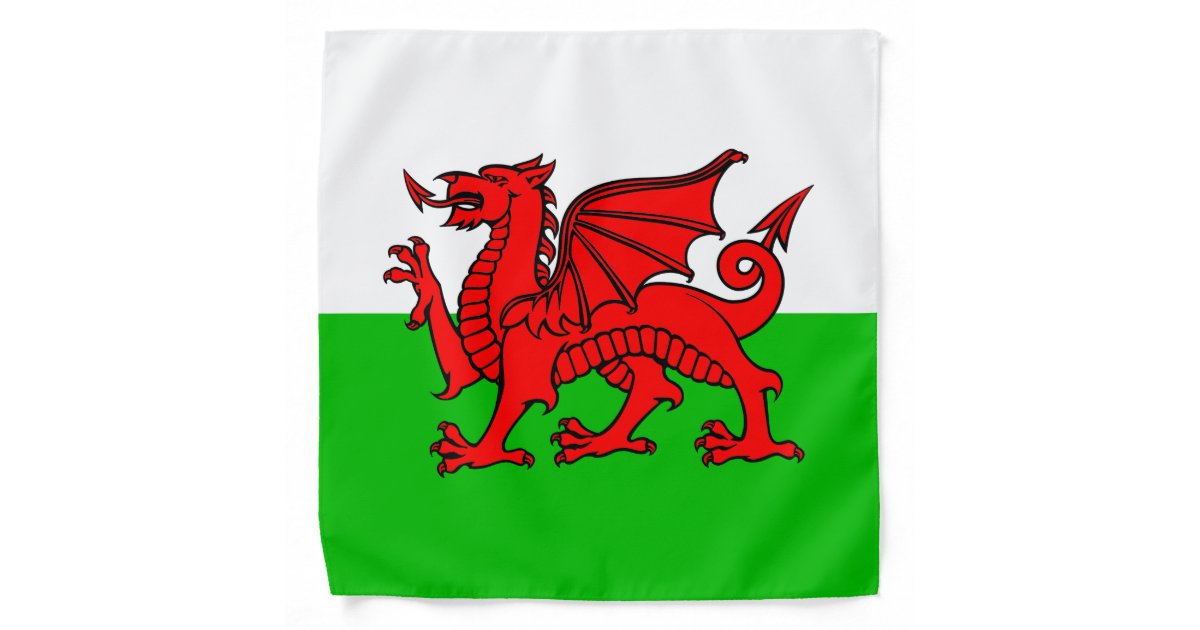 Buy Ddraig Goch Trans Flag, Wales Pride Design