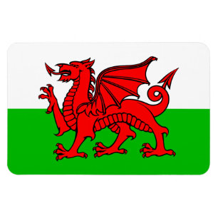 Welsh Red Dragon Wales Flag Magnet