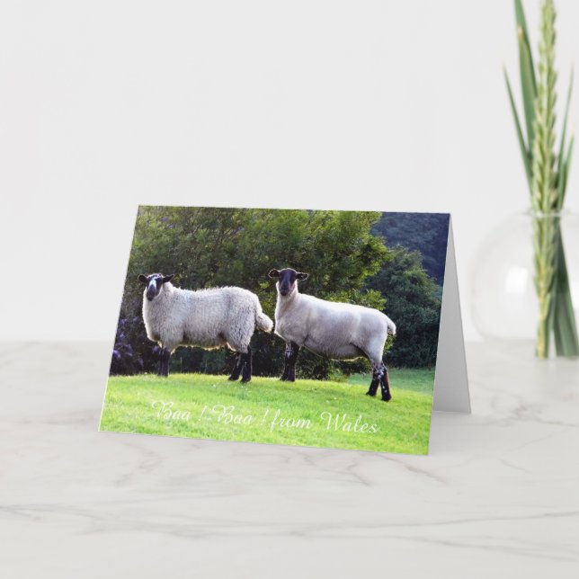 Welsh Sheep Greeting Cards. Card (Front)
