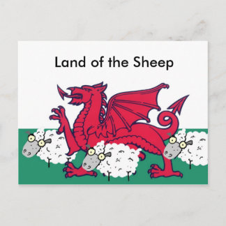 welsh sheep, Land of the Sheep Postcard