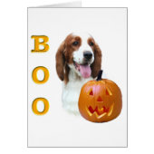 Welsh Springer Spaniel Boo (Front)