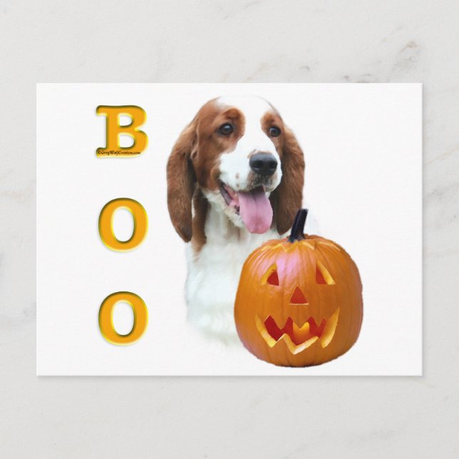 Welsh Springer Spaniel Boo Postcard (Front)