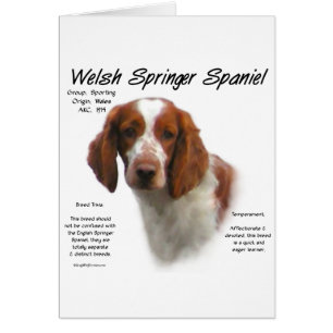 Welsh Springer Spaniel History Design Cards