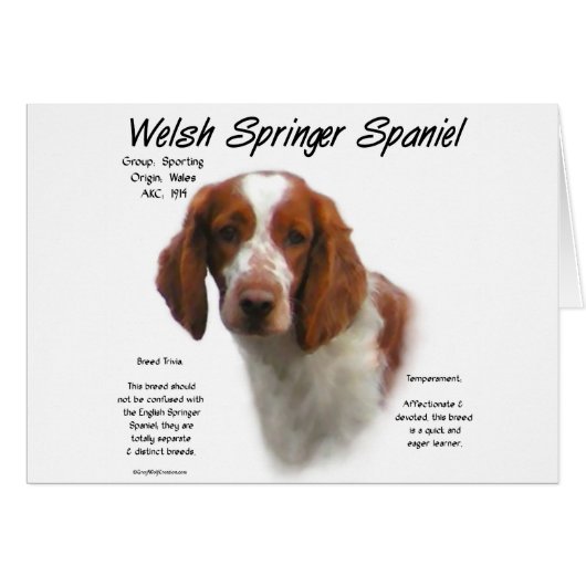 Welsh Springer Spaniel History Design Cards (Front Horizontal)