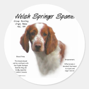 Welsh Springer Spaniel History Design Classic Round Sticker