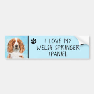 Welsh Springer Spaniel Painting - Original Dog Art Bumper Sticker