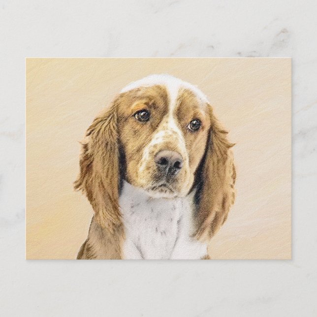 Welsh Springer Spaniel Painting - Original Dog Art Postcard (Front)