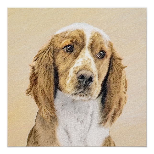 Welsh Springer Spaniel Painting - Original Dog Art Poster (Front)