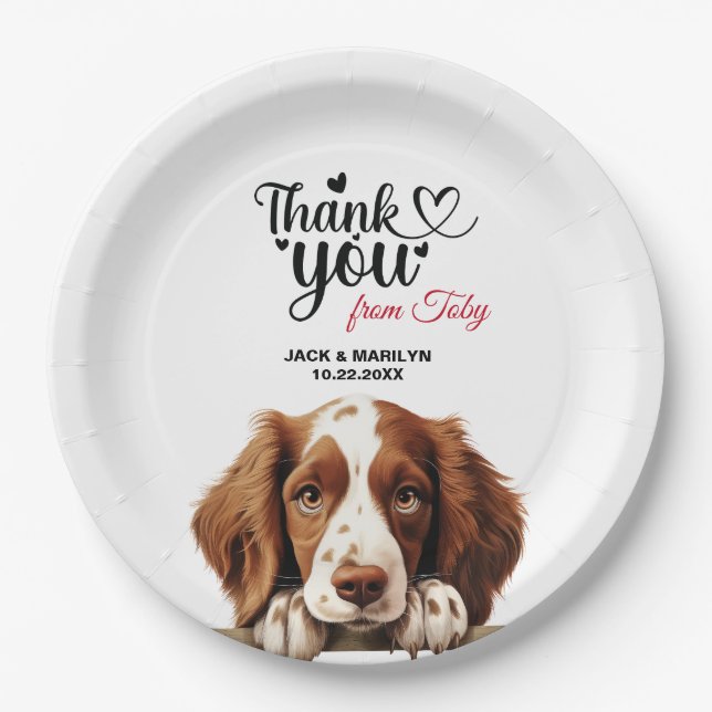 Welsh Springer Spaniel Paper Plates (Front)