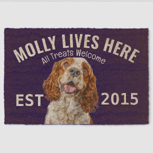Welsh Springer Spaniel Personalized Fiber Doormat