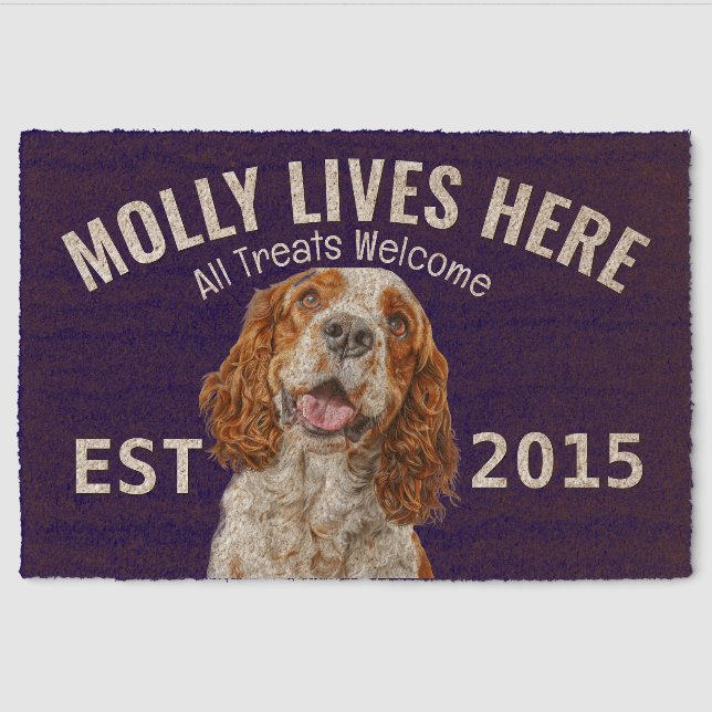 Welsh Springer Spaniel Personalized Fiber Doormat (Front)