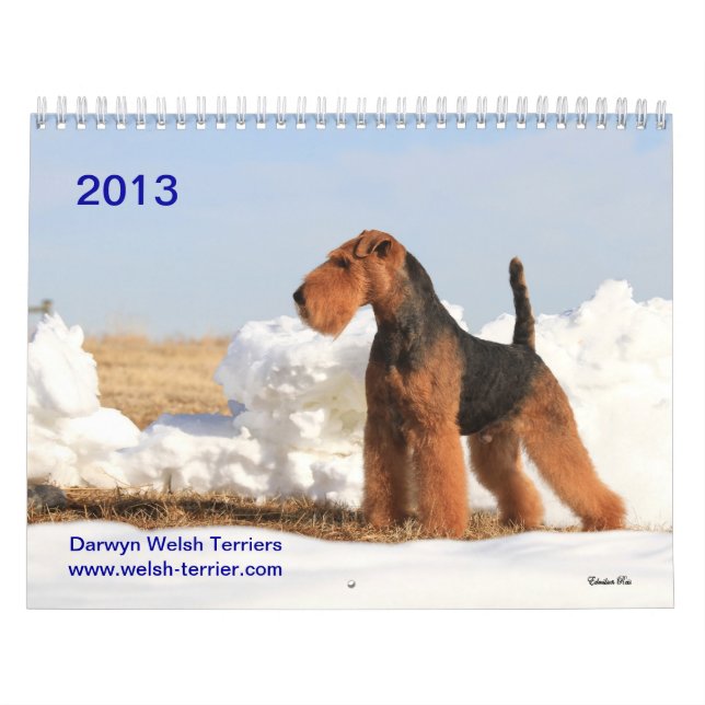 Welsh Terrier 2013 Calendar by Darwyn (Cover)