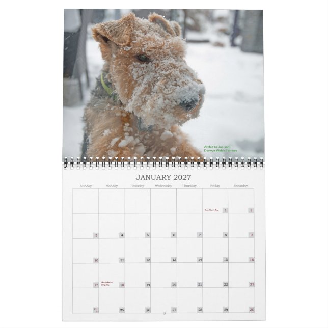 Welsh Terrier 2015 Calendar by Darwyn (Jan 2027)