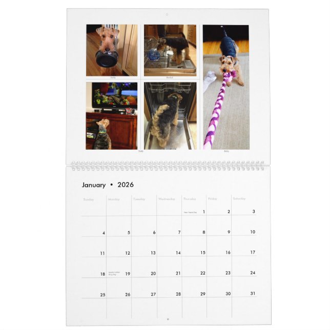 Welsh Terrier 2015 Calendar by SBWT (Jan 2026)