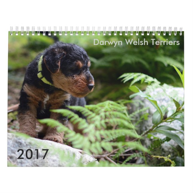 Welsh Terrier 2017 Calendar by Darwyn (Cover)