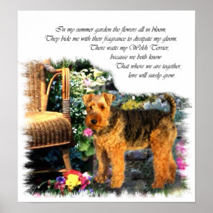Welsh Terrier Art Print