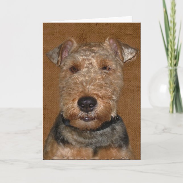 Welsh Terrier Birthday Humor  Card (Front)