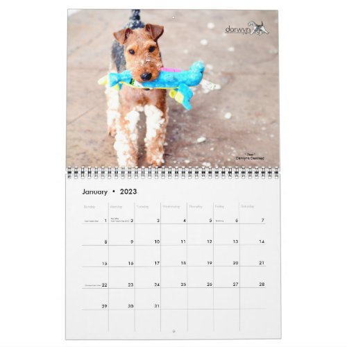 Welsh Terrier Calendar