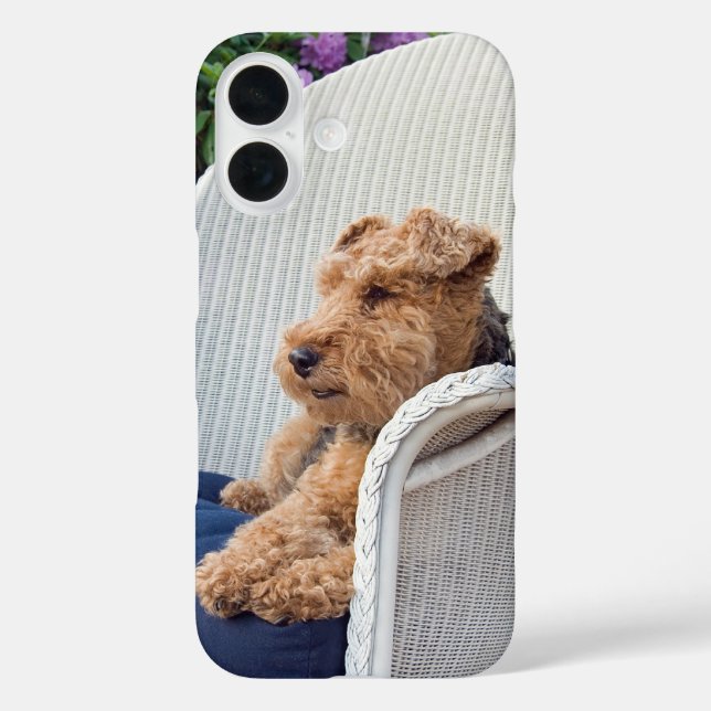 Welsh Terrier Case-Mate iPhone Case (Back)