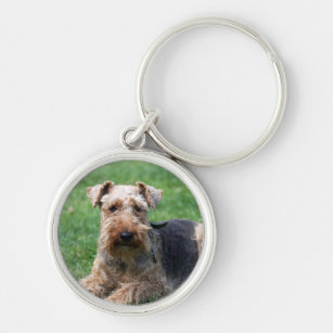 Welsh terrier dog beautiful photo keychain