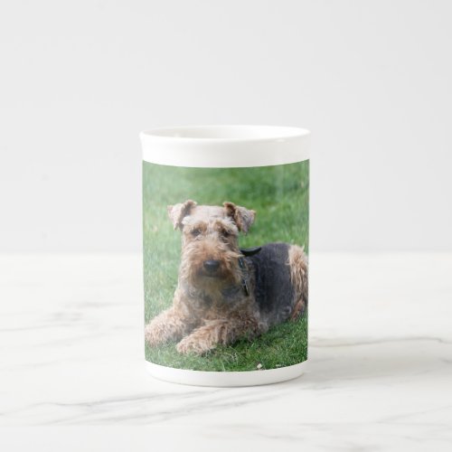 Welsh Terrier dog cute photo bone china mug