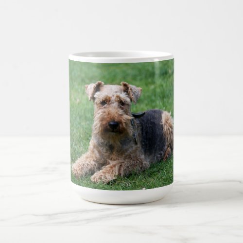 Welsh terrier dog photo coffee or tea mug