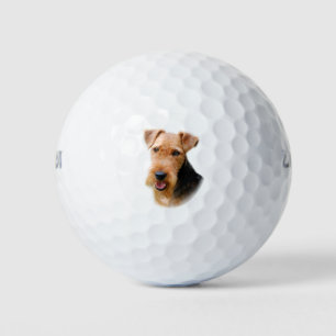 Welsh Terrier Golf Balls