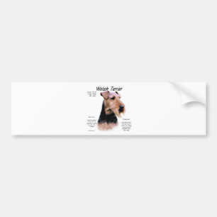Welsh Terrier History; About Welsh Terriers Bumper Sticker