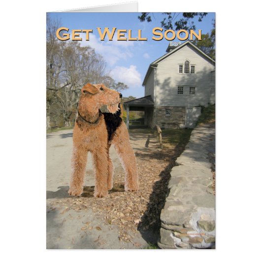 Welsh Terrier in the Stable Yard Cards (Front)