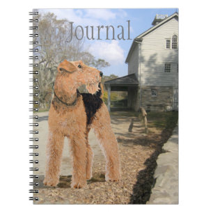 Welsh Terrier in the Stable Yard Notebook