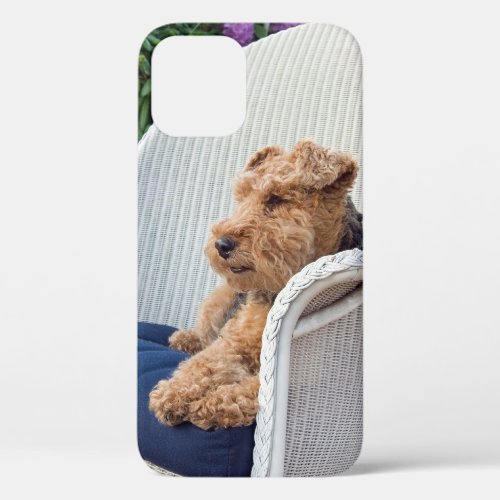 Welsh Terrier in Wicker Chair iPhone 12 Case