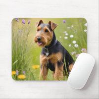 Welsh Terrier In Wildflower Meadow