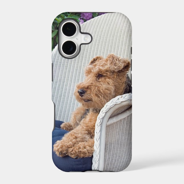 Welsh Terrier Iphone Case (Back)
