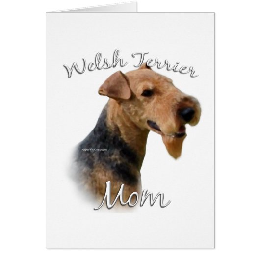 Welsh Terrier Mom 2 (Front)