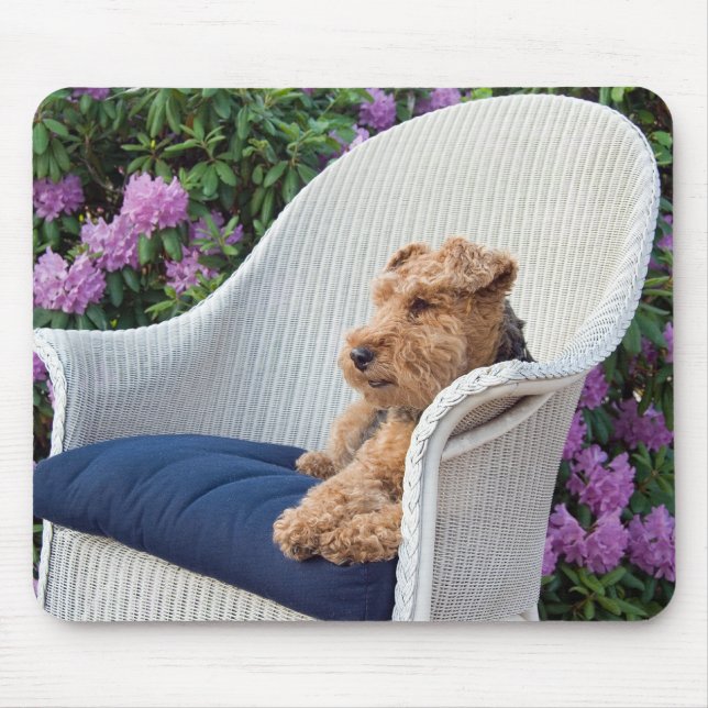 Welsh terrier on wicker mouse pad (Front)