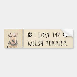 Welsh Terrier Painting - Cute Original Dog Art Bumper Sticker