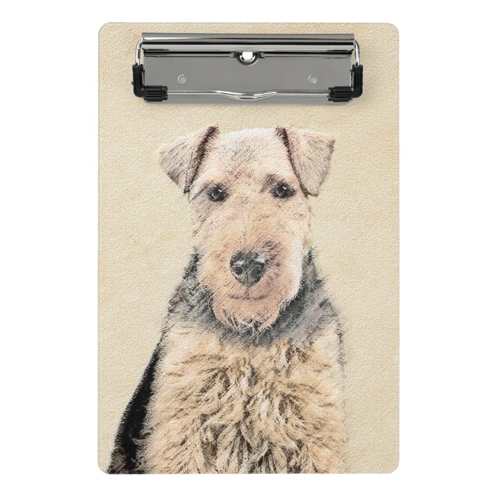 mini welsh terrier