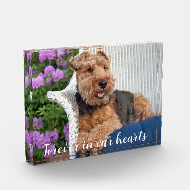 Welsh Terrier Pet Memorial  Photo Block (Left)