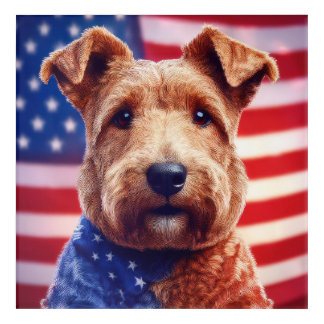 Welsh Terrier With American Flag And Bandana Acrylic Print