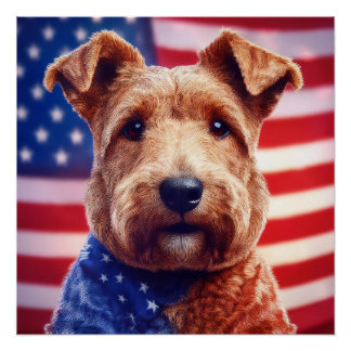 Welsh Terrier With American Flag And Bandana Poster