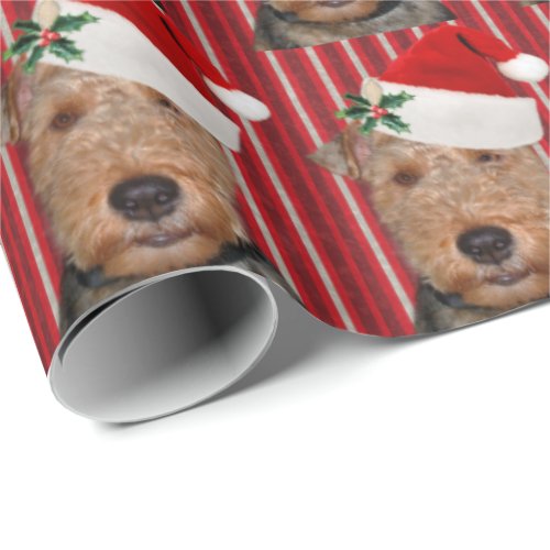 Welsh Terrier with Santa Claus hat Wrapping Paper