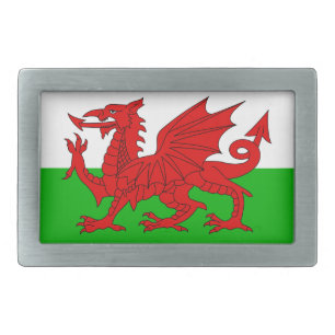 Welsh / Wales Flag - Cymru High Quality Image Belt Buckle