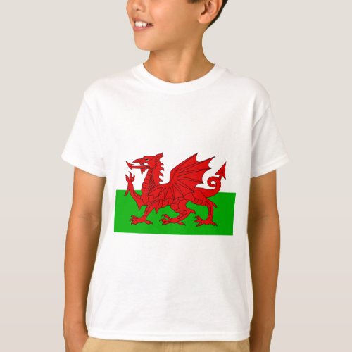 Welsh  Wales Flag _ Cymru High Quality Image T_Shirt