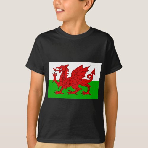 Welsh  Wales Flag _ Cymru High Quality Image T_Shirt