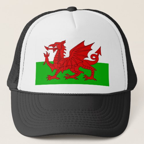 Welsh  Wales Flag _ Cymru High Quality Image Trucker Hat