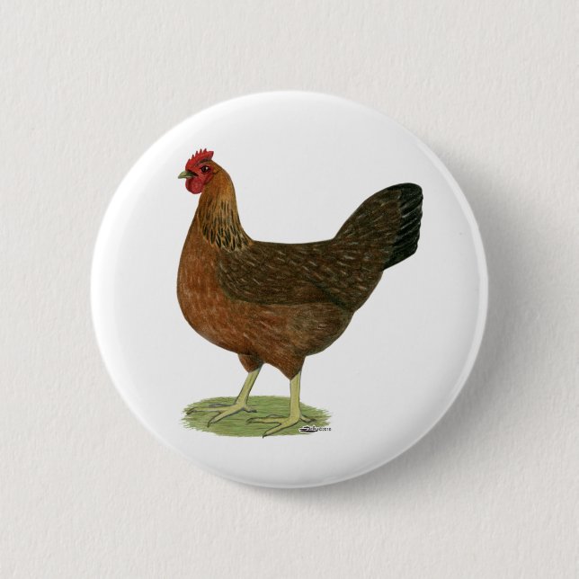 Welsummer Hen Pinback Button (Front)