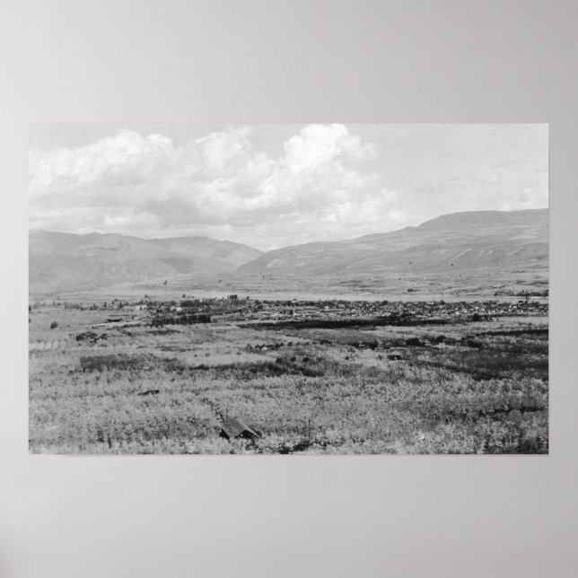 Wenatchee, WA Town View and Orchard Photograph Poster (Front)