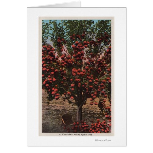 Wenatchee WAA Wenatchee Valley Apple Tree