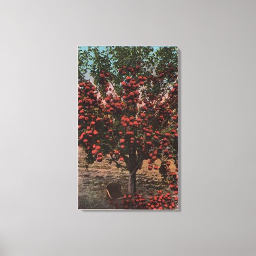 Wenatchee WAA Wenatchee Valley Apple Tree Canvas Print