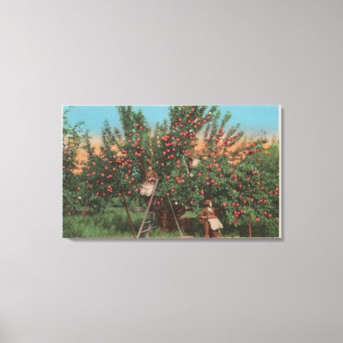 Wenatchee WAView of Apple Orchard  Workers Canvas Print
